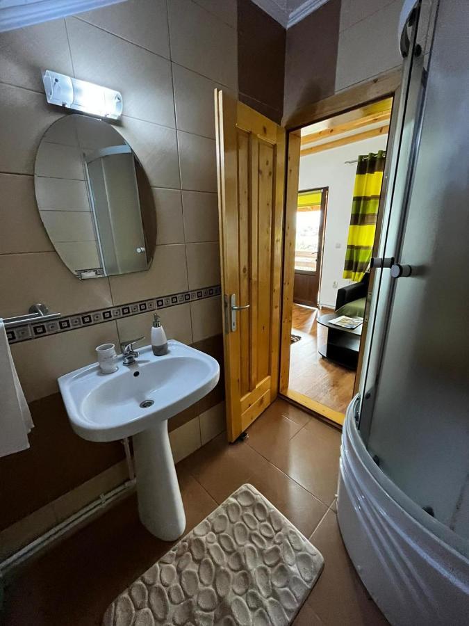 Vila Sofia Hateg Ngoại thất bức ảnh