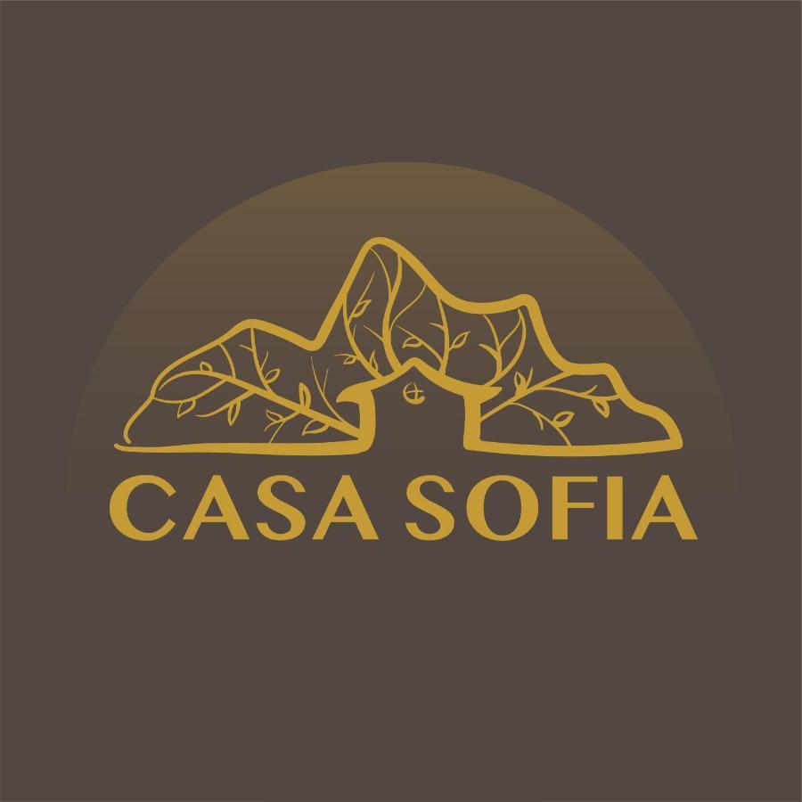 Vila Sofia Hateg Ngoại thất bức ảnh