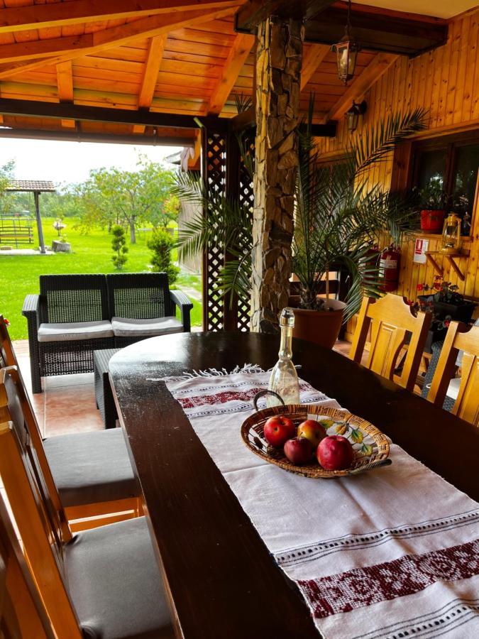 Vila Sofia Hateg Ngoại thất bức ảnh