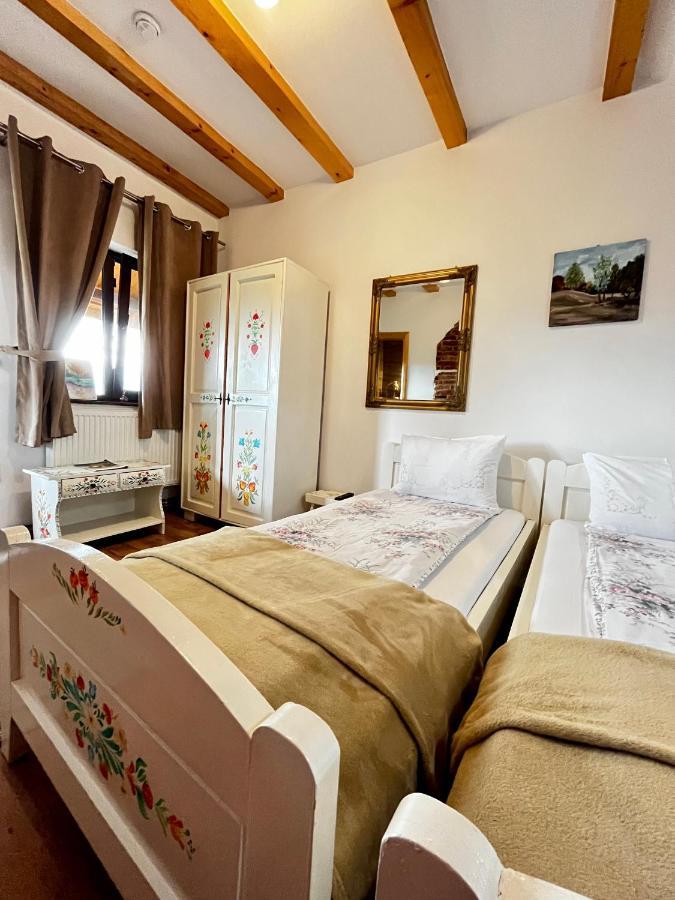 Vila Sofia Hateg Ngoại thất bức ảnh