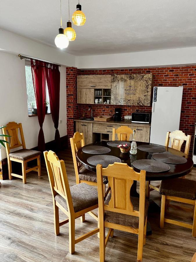 Vila Sofia Hateg Ngoại thất bức ảnh