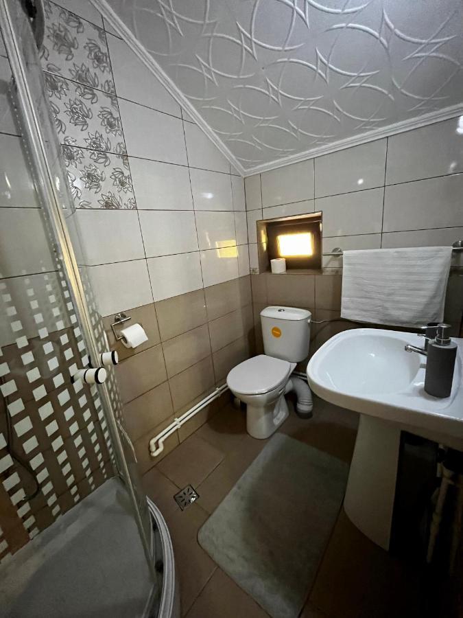 Vila Sofia Hateg Ngoại thất bức ảnh