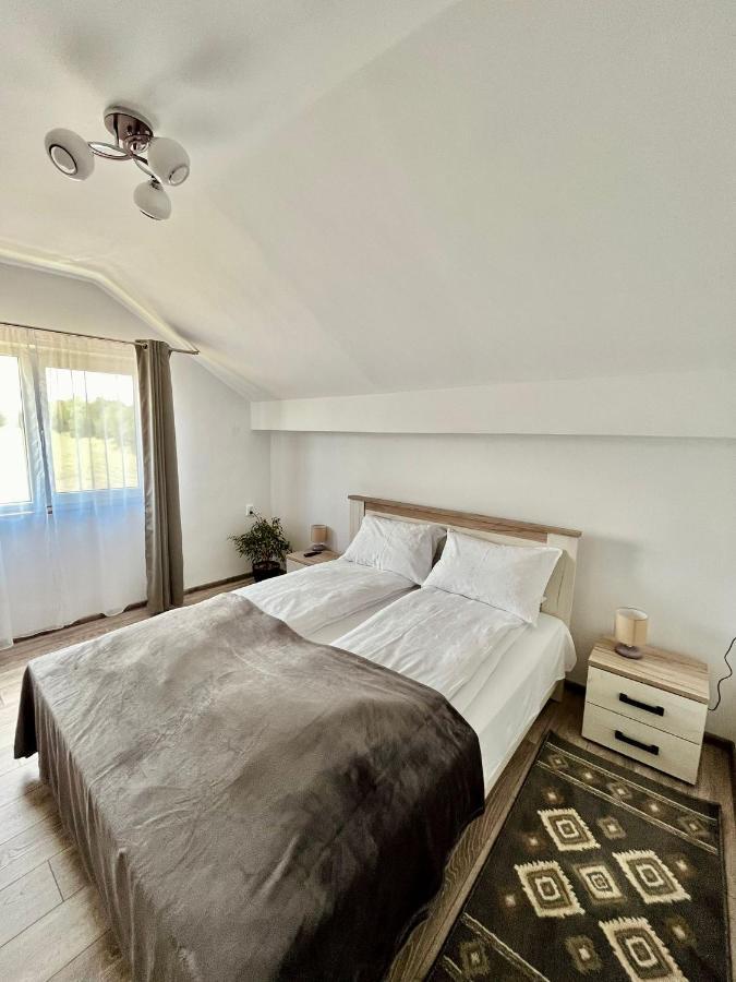 Vila Sofia Hateg Ngoại thất bức ảnh