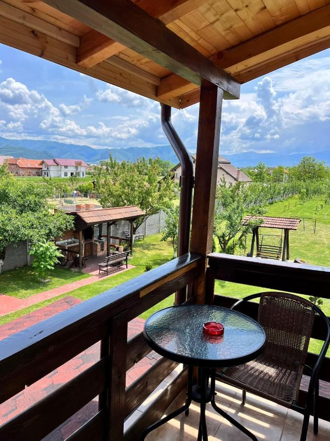 Vila Sofia Hateg Ngoại thất bức ảnh