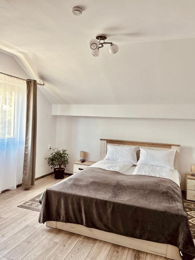 Vila Sofia Hateg Ngoại thất bức ảnh