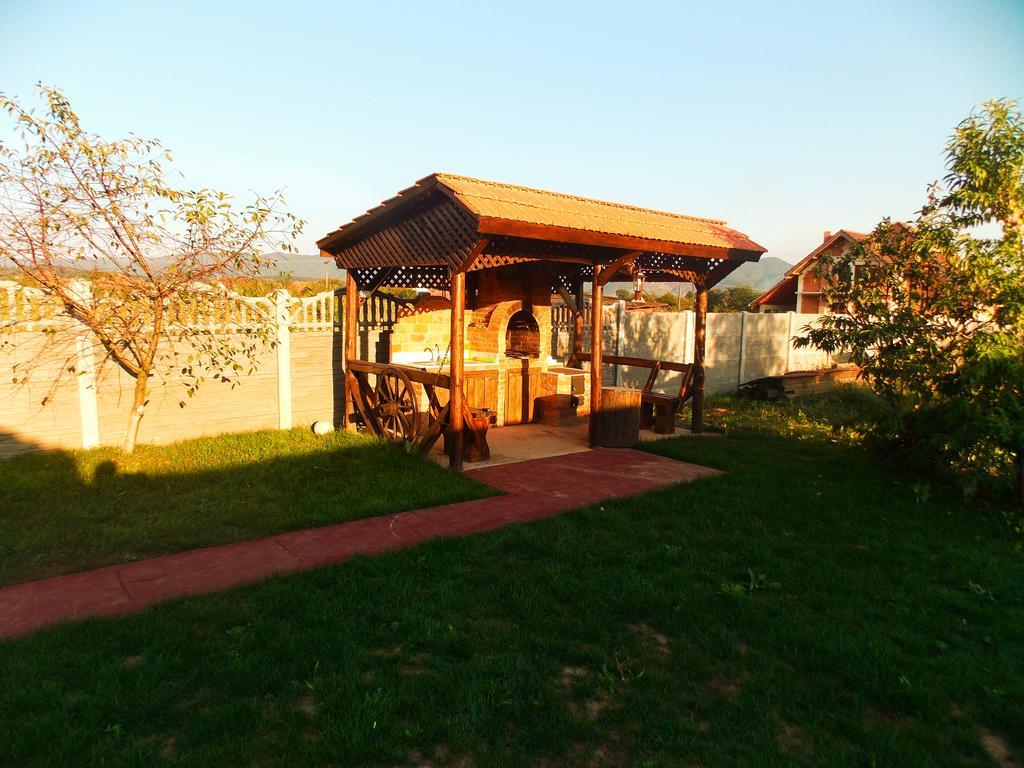 Vila Sofia Hateg Ngoại thất bức ảnh