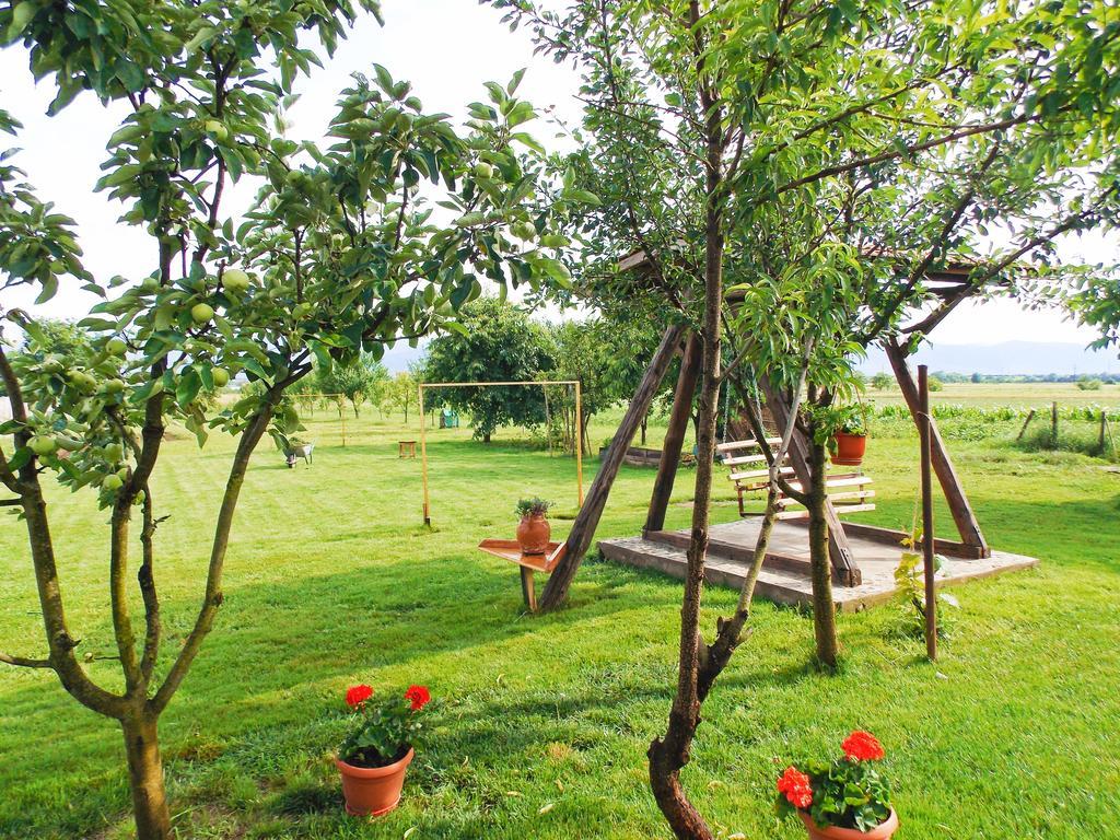 Vila Sofia Hateg Ngoại thất bức ảnh