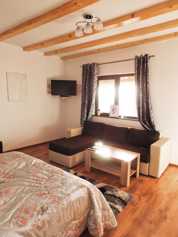 Vila Sofia Hateg Ngoại thất bức ảnh