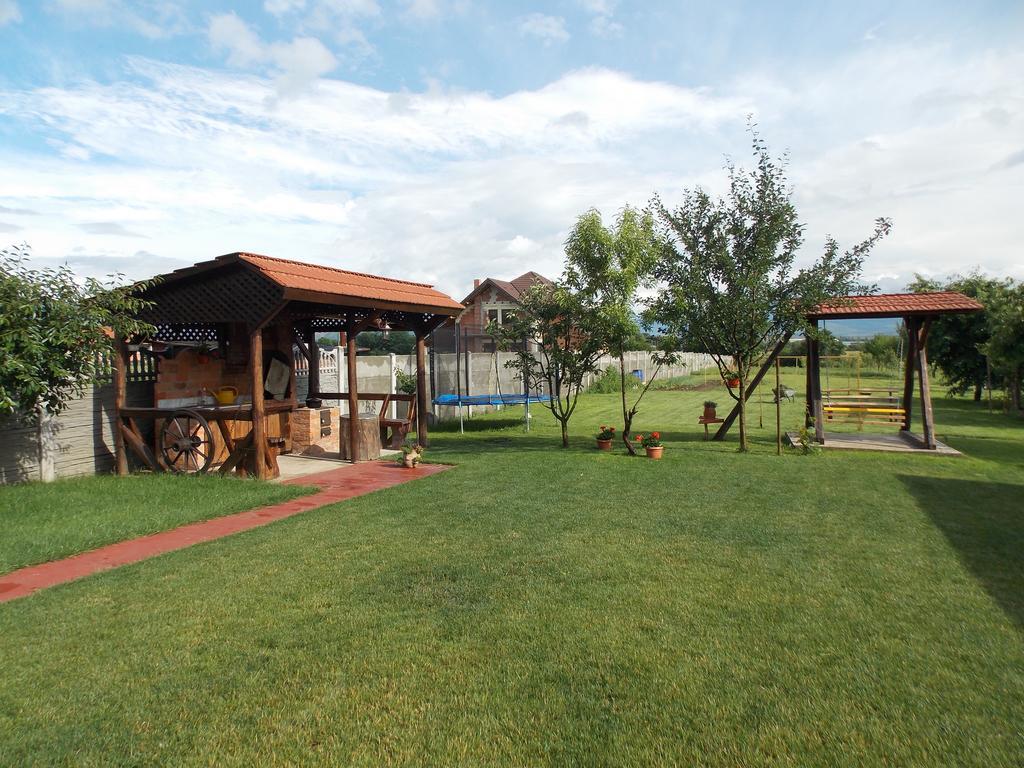 Vila Sofia Hateg Ngoại thất bức ảnh